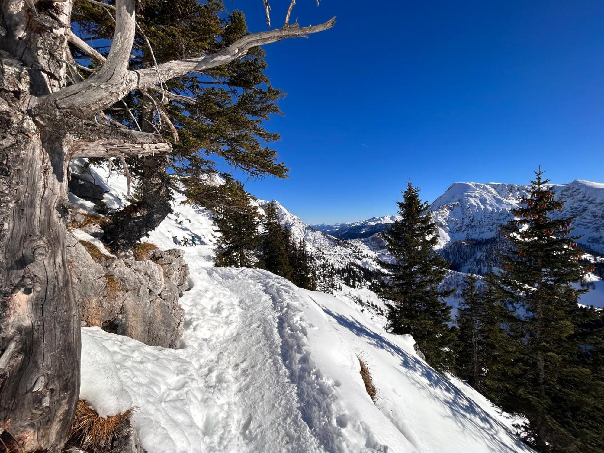 Auf'M Feggenlehen Hotell Ramsau bei Berchtesgaden Exteriör bild