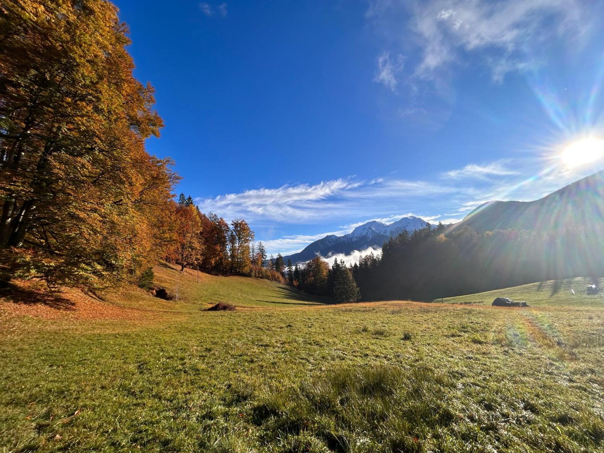 Auf'M Feggenlehen Hotell Ramsau bei Berchtesgaden Exteriör bild
