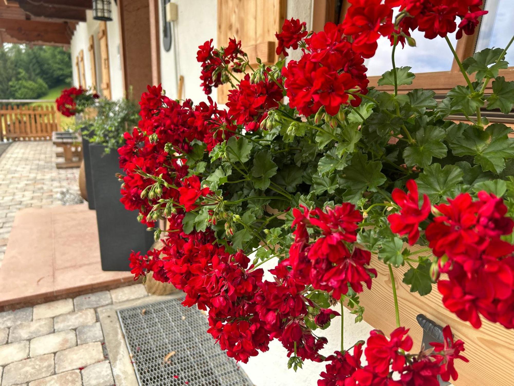 Auf'M Feggenlehen Hotell Ramsau bei Berchtesgaden Exteriör bild