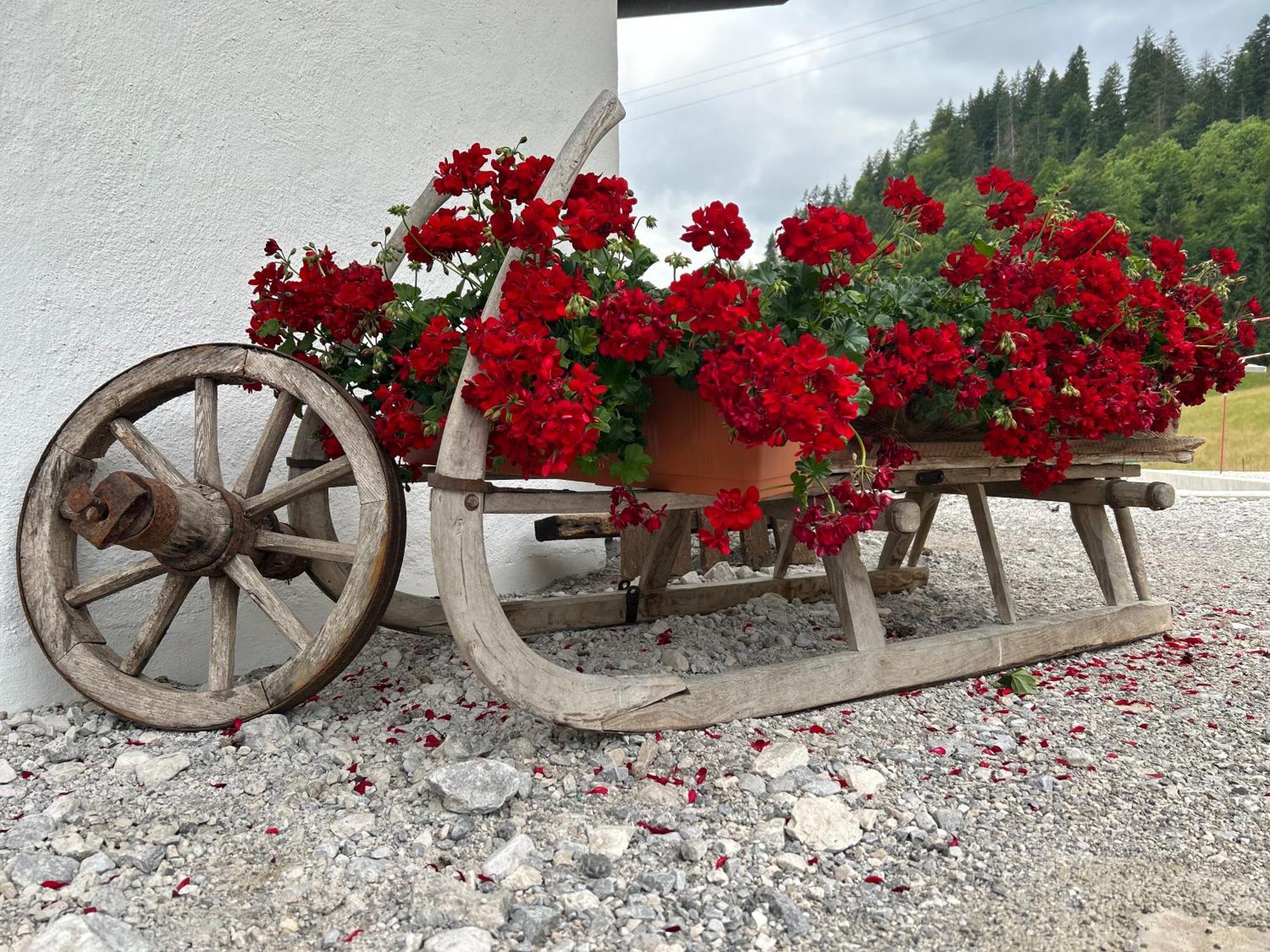 Auf'M Feggenlehen Hotell Ramsau bei Berchtesgaden Exteriör bild
